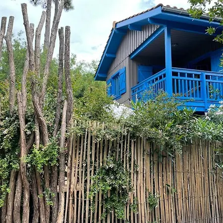 La Maison Aux Volets Bleus - Des Americains
